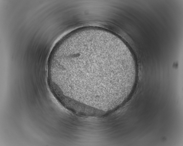 X0000113931028200910231917