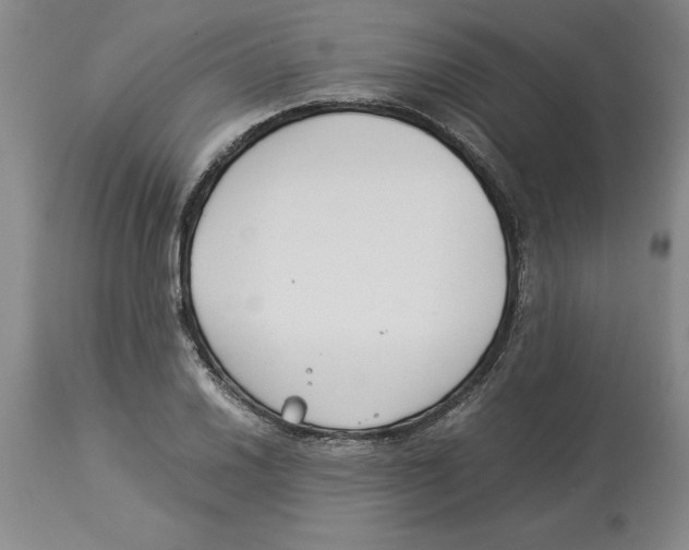 X0000113931030200910231917