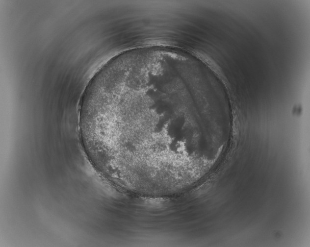 X0000113931031200910231917