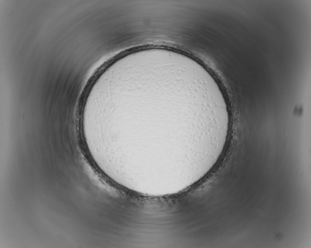X0000113931032200910231917