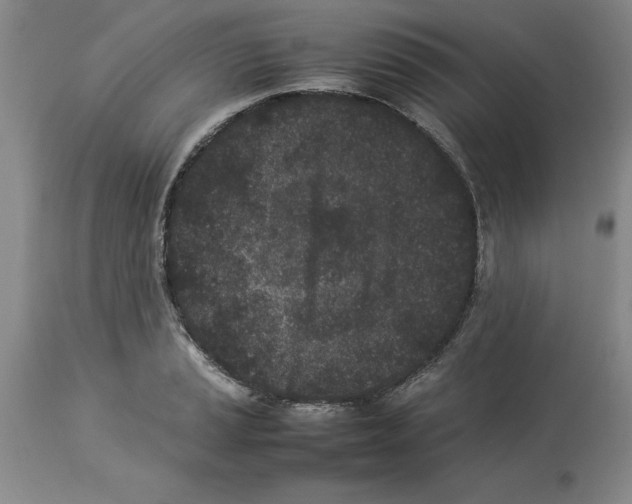 X0000113931037200910231917