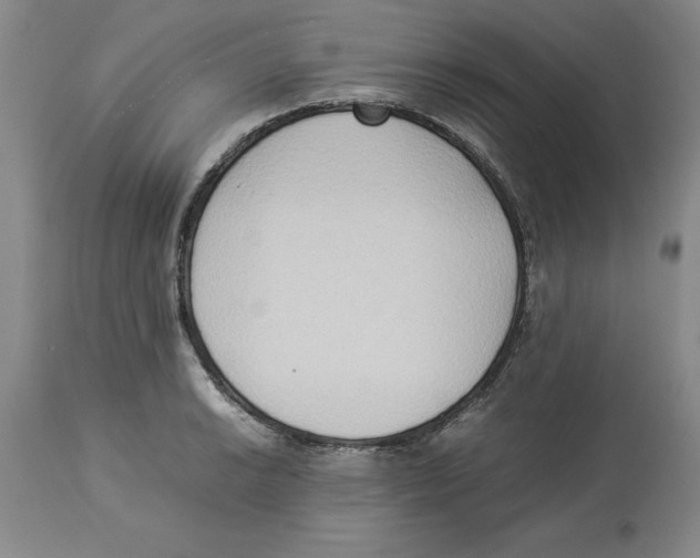 X0000113931038200910231917