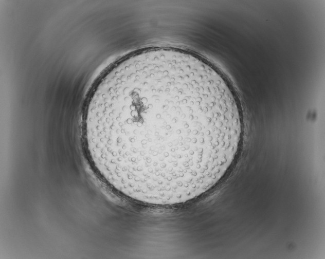 X0000113931040200910231917