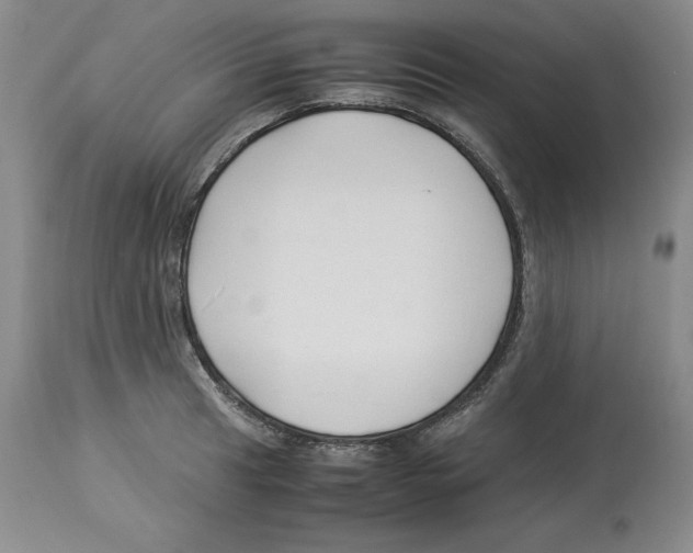 X0000113931041200910231917