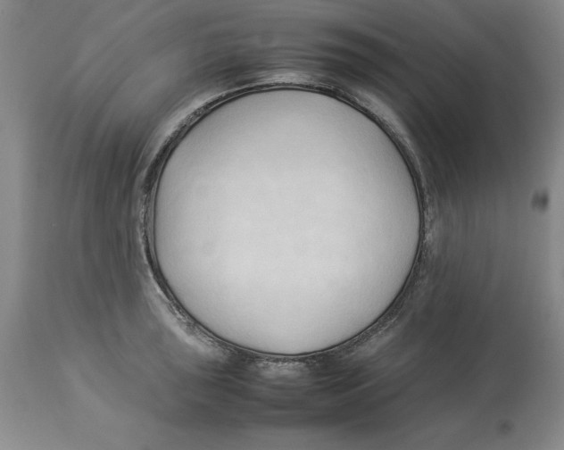 X0000113931043200910231917