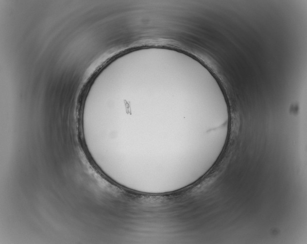 X0000113931046200910231917