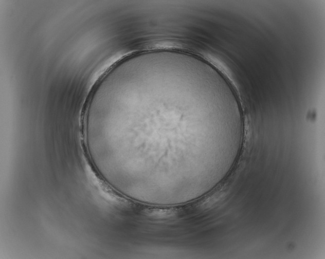 X0000113931047200910231917