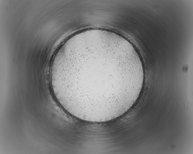 X0000113931048200910231917