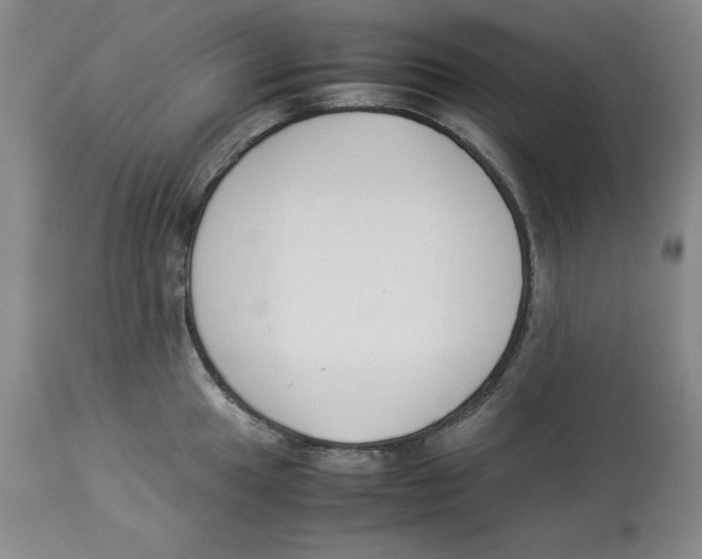X0000113931049200910231917
