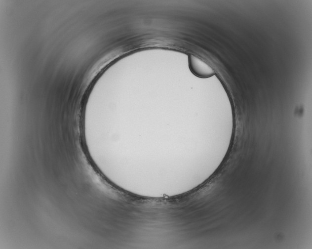 X0000113931050200910231917