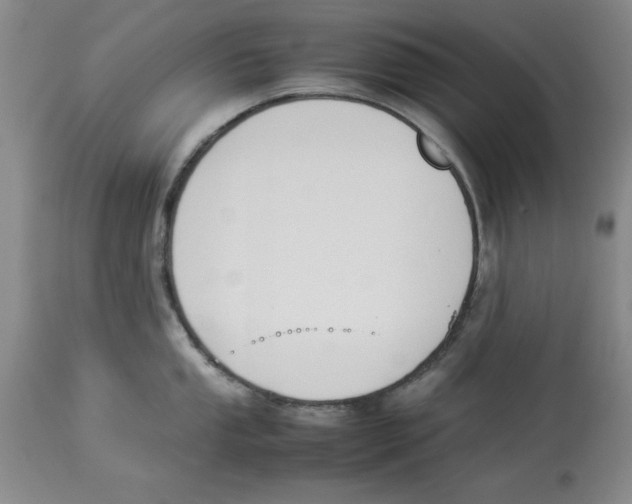 X0000113931053200910231917