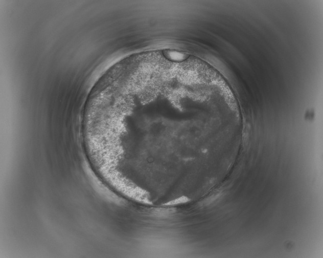 X0000113931055200910231917