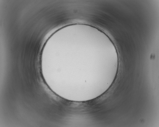 X0000113931056200910231917