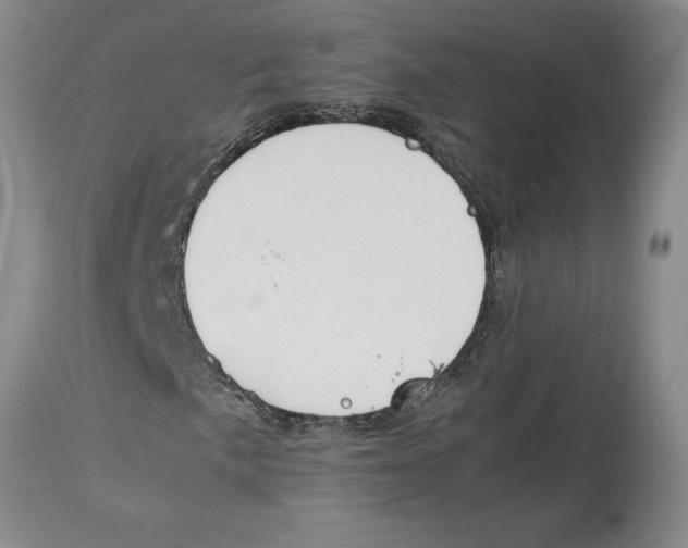 X0000113931057200910231916