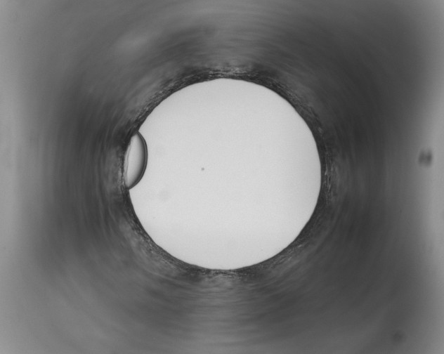 X0000113931058200910231916