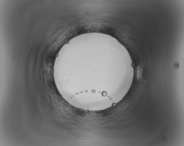 X0000113931059200910231916