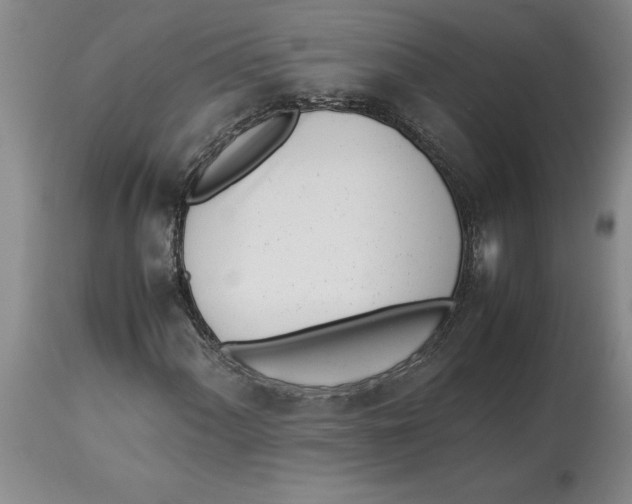 X0000113931060200910231916