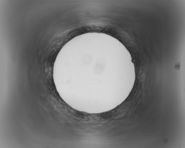 X0000113931061200910231916