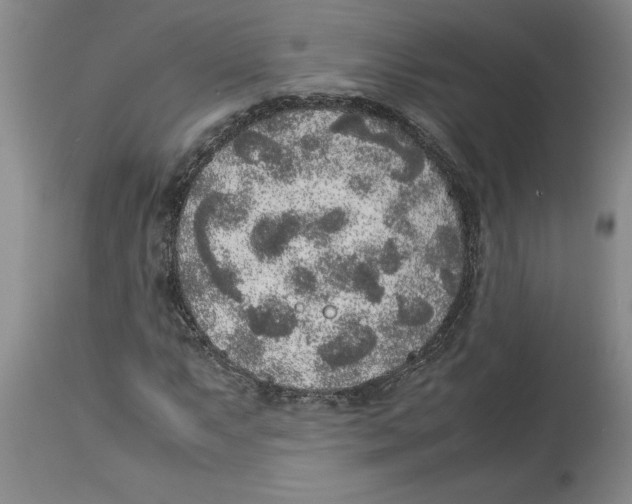 X0000113931063200910231916