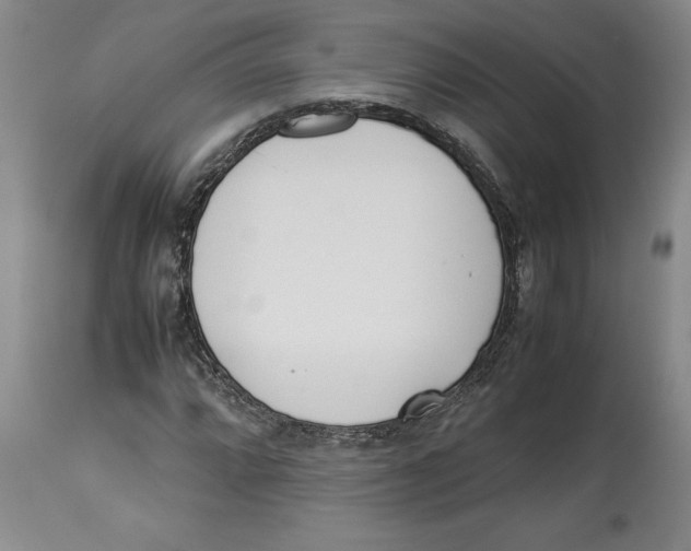 X0000113931064200910231916