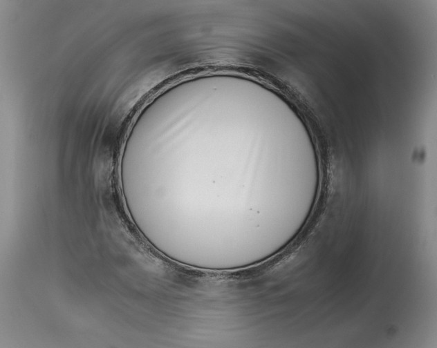 X0000113931065200910231916