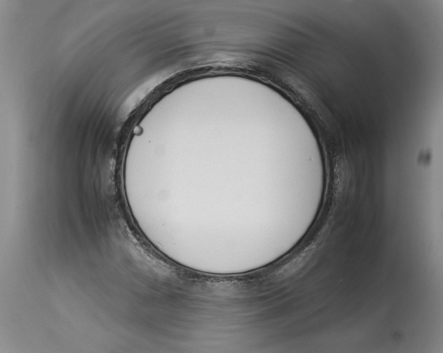 X0000113931066200910231916