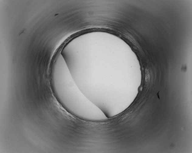 X0000113931068200910231916