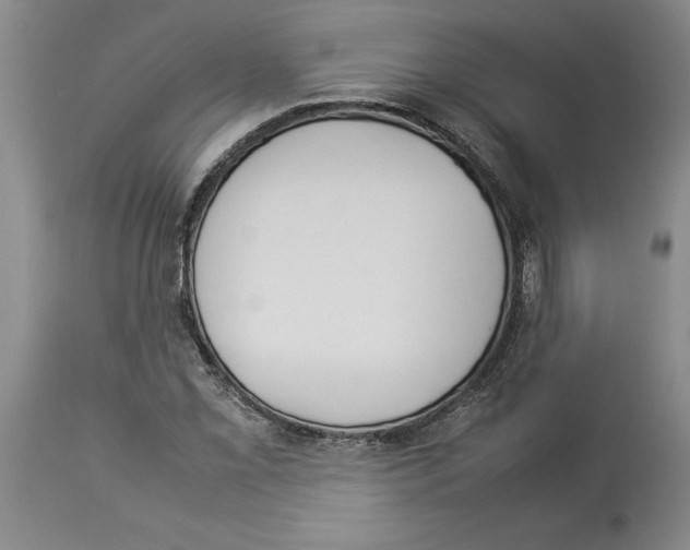 X0000113931069200910231916