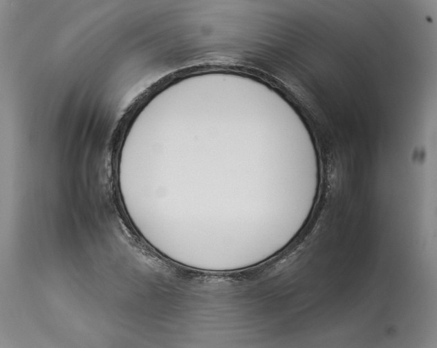 X0000113931070200910231916