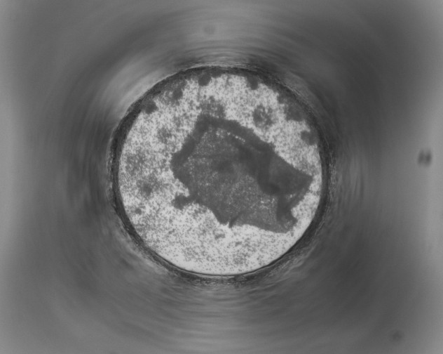 X0000113931071200910231916
