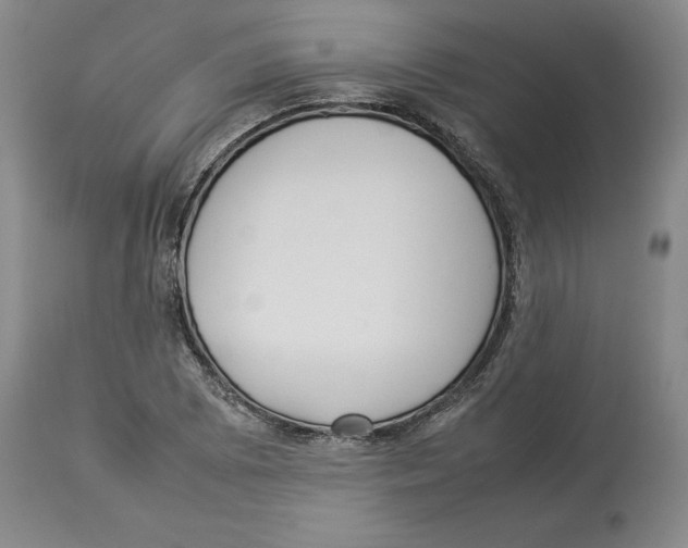 X0000113931073200910231916