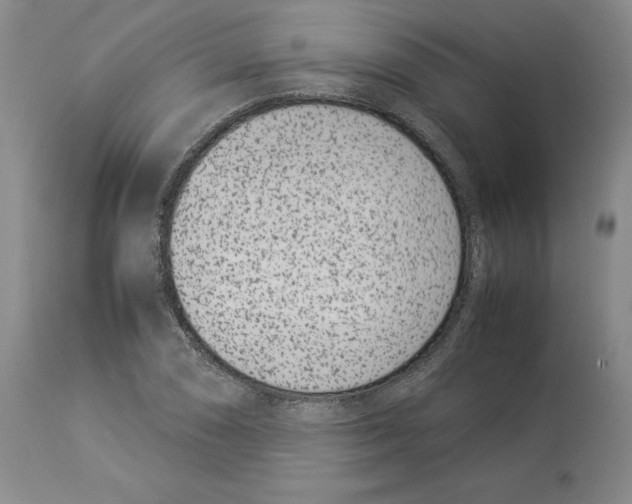 X0000113931074200910231916