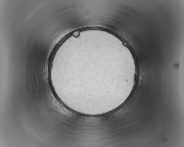 X0000113931076200910231916