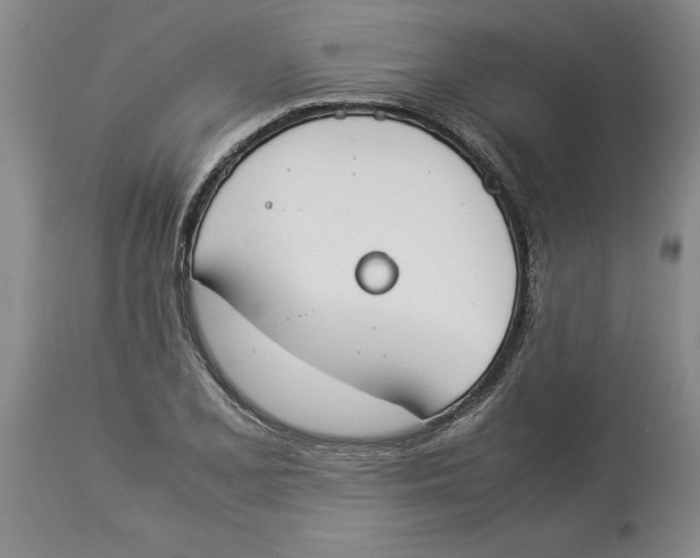 X0000113931077200910231916
