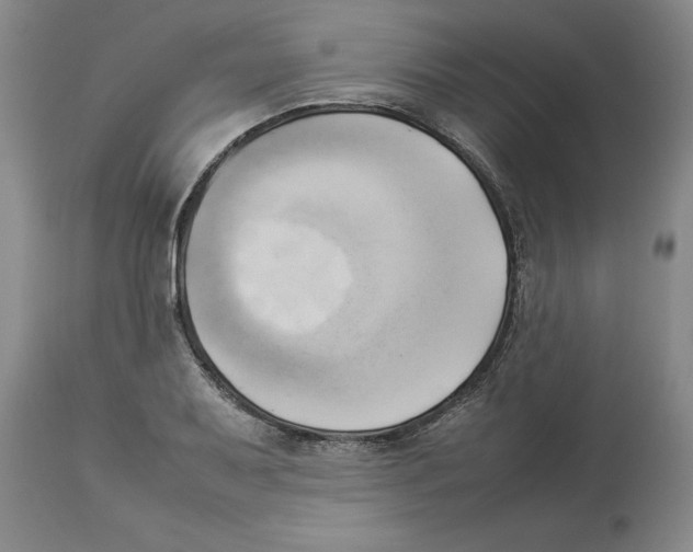 X0000113931079200910231916