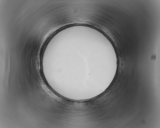 X0000113931080200910231916