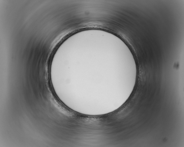 X0000113931082200910231916