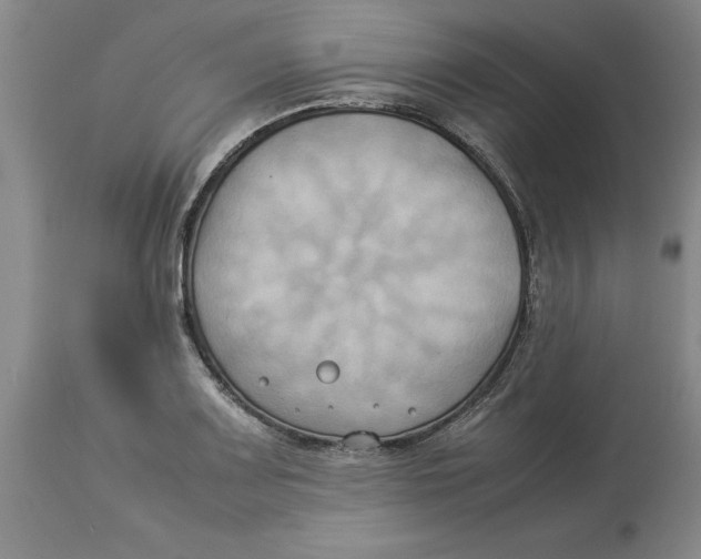 X0000113931083200910231916