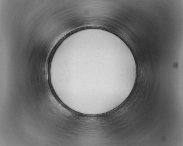 X0000113931084200910231916