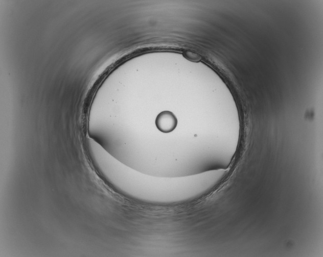 X0000113931085200910231916