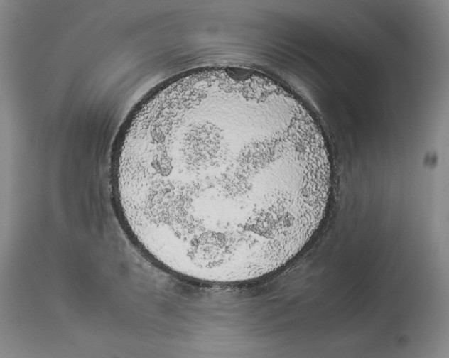 X0000113931087200910231916