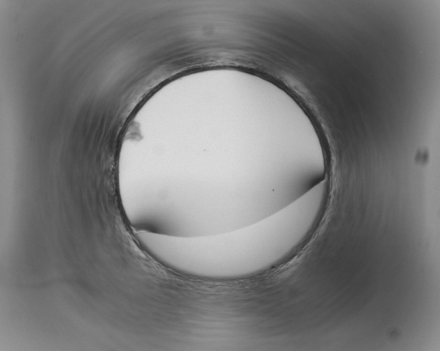 X0000113931089200910231916