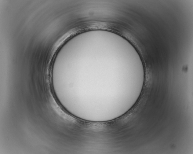 X0000113931090200910231916