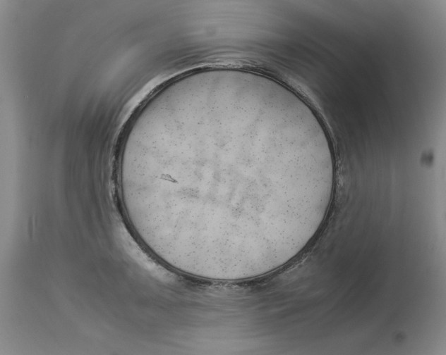 X0000113931091200910231916