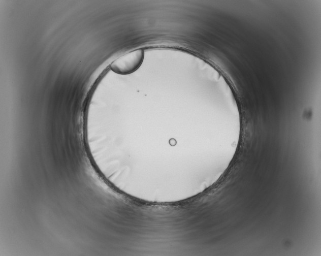 X0000113931092200910231916