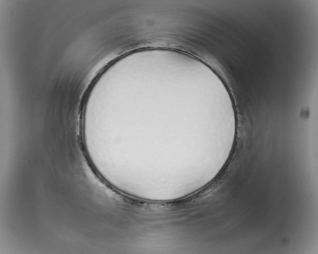 X0000113931095200910231916
