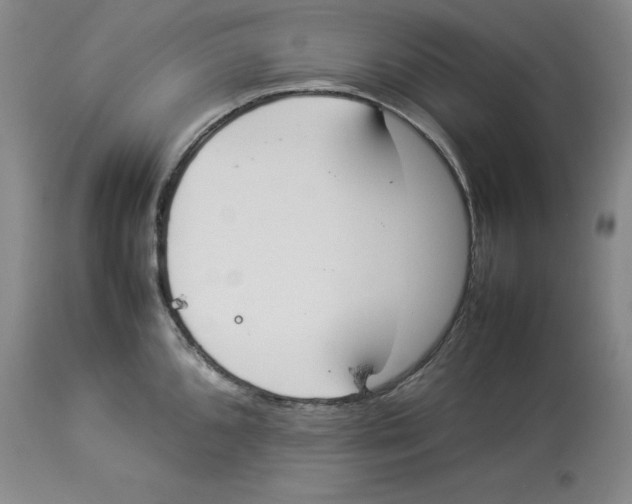 X0000113931096200910231916