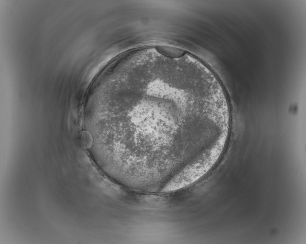 X0000113931097200910231916