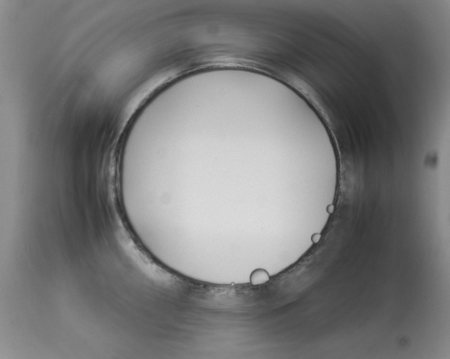 X0000113931098200910231916