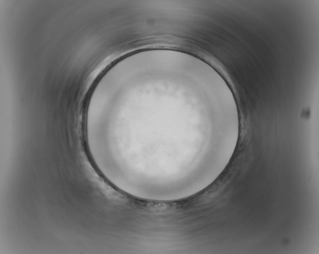 X0000113931099200910231916